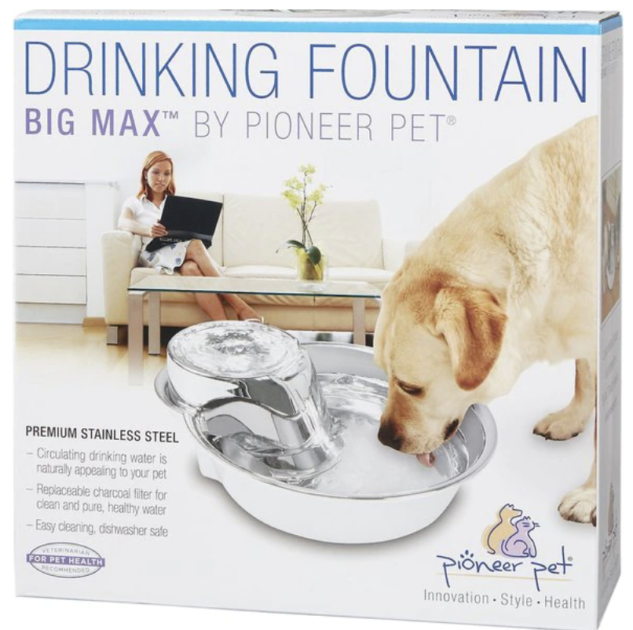 big dog water fountain